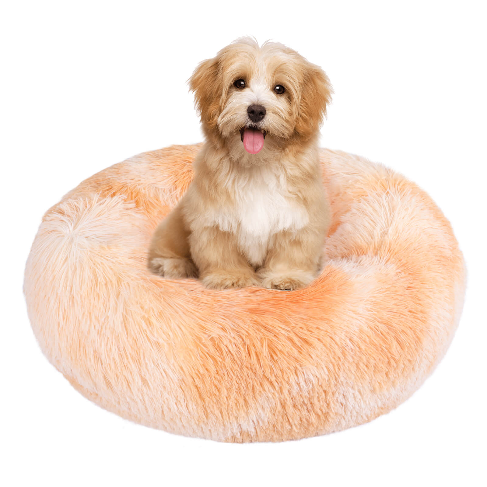 orange pet bed