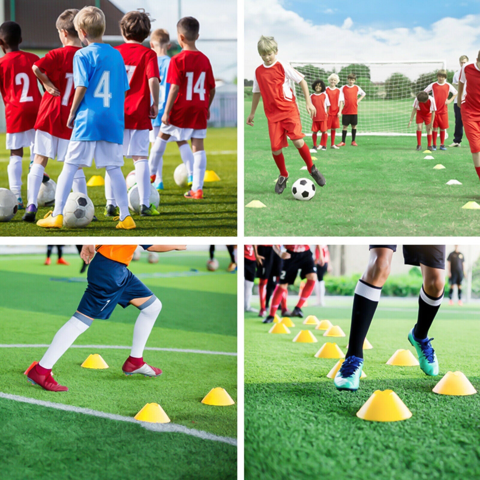 Agility Training Set dispaly