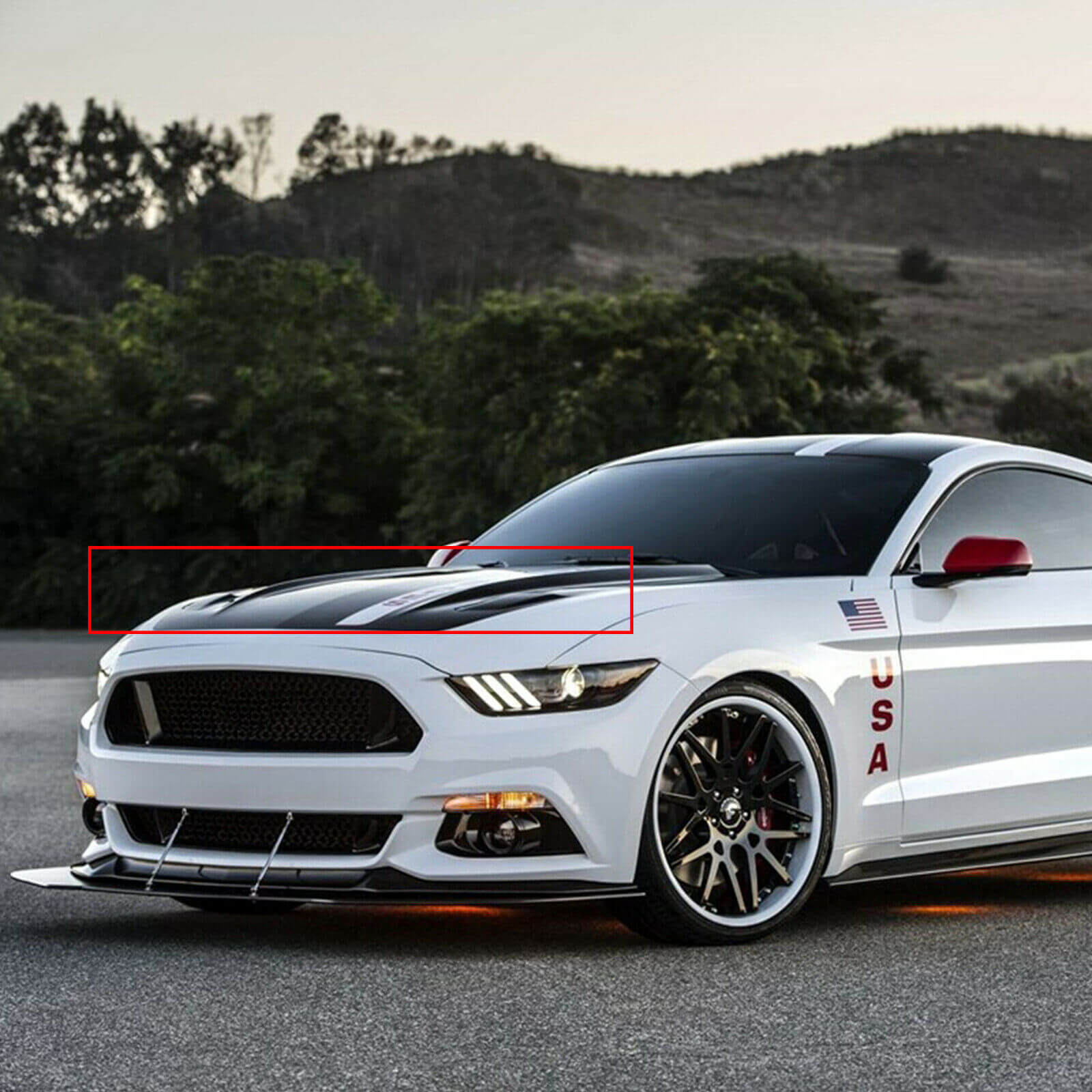 Front Hood Air Outlet Vent Cover showing