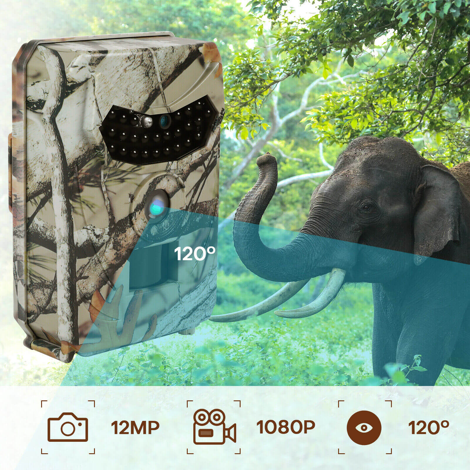 Features of Hunting Camera Motion Detection - BCBMALL