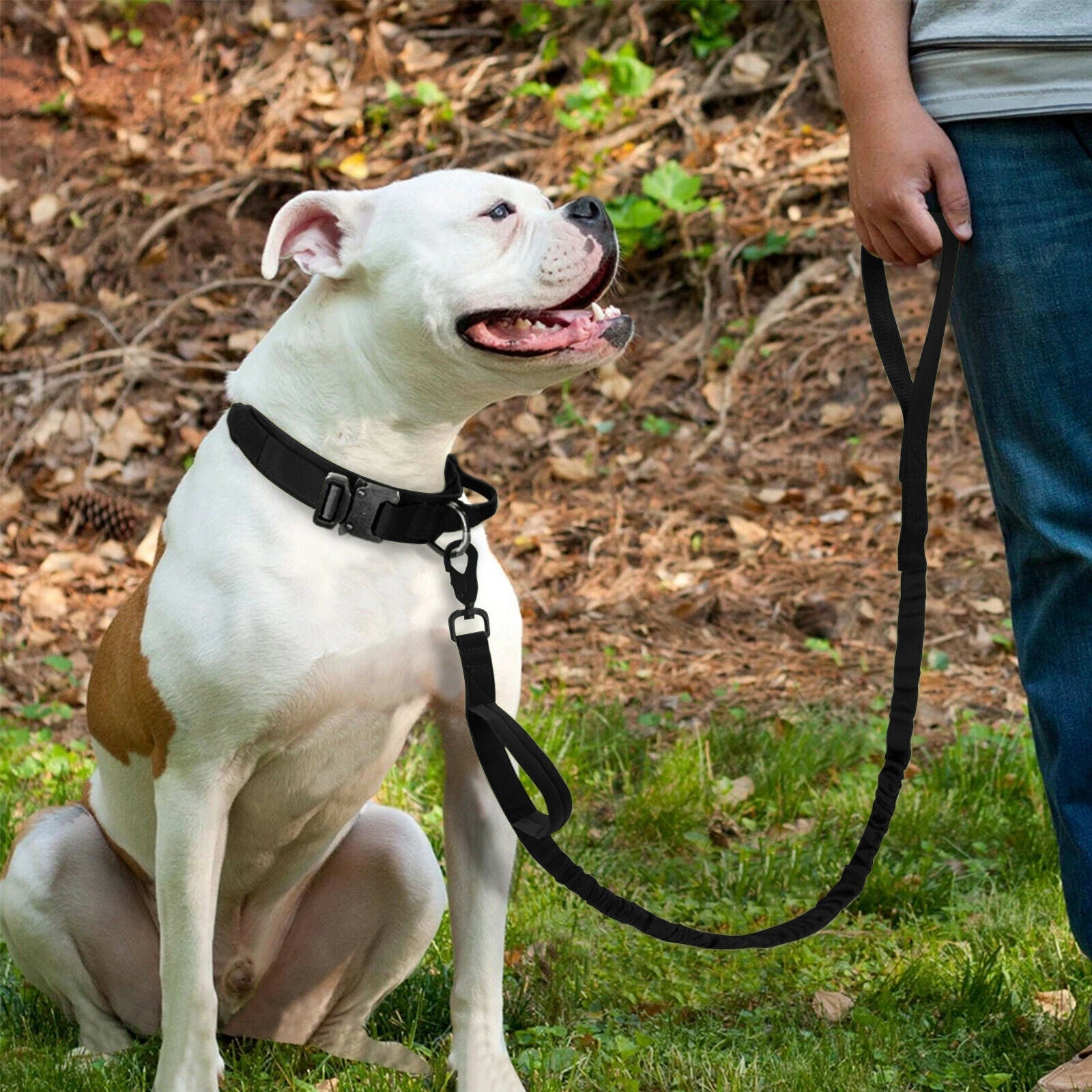 K9 Dog Tactical Collar Leash display