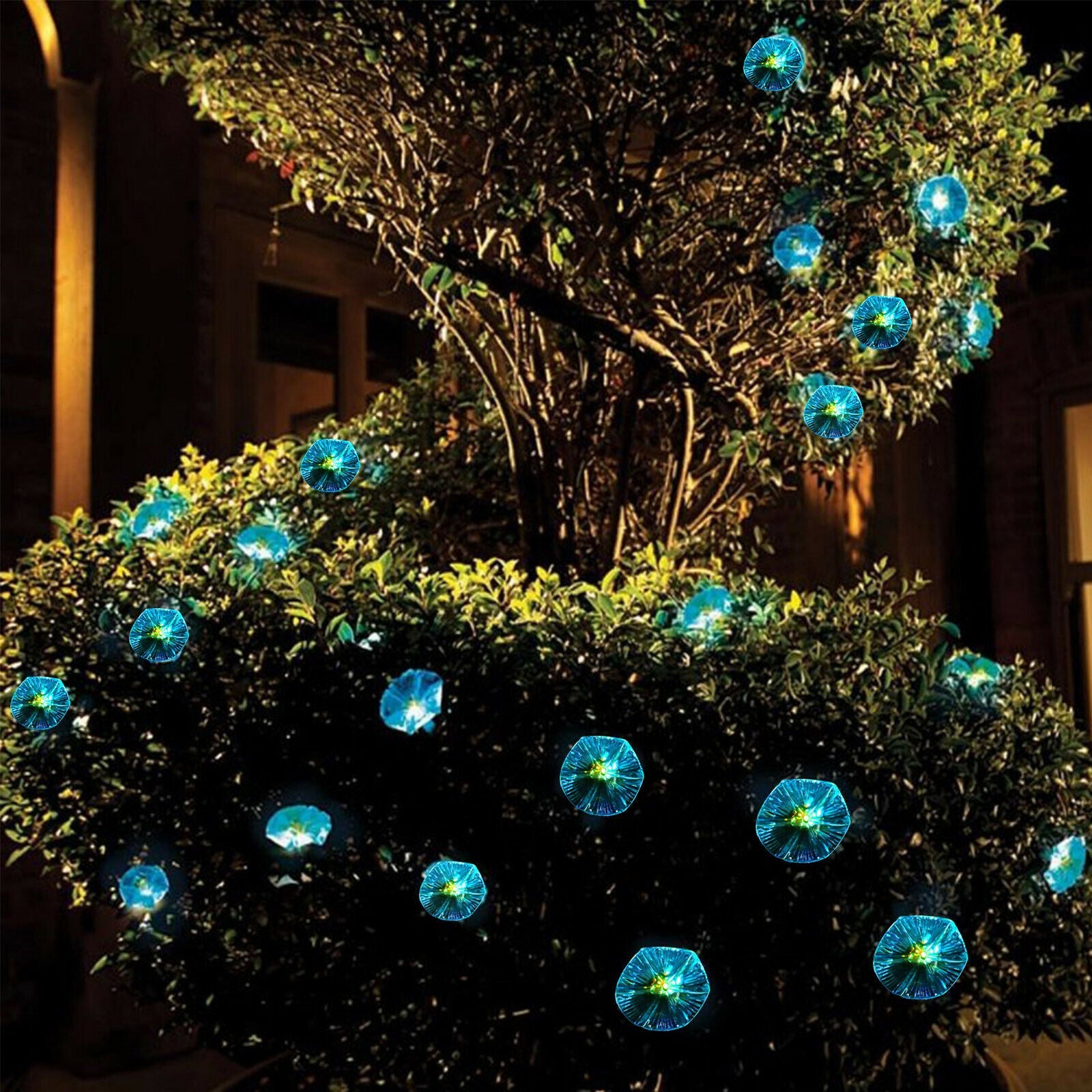 Outdoor LED Solar String Light outdoor display