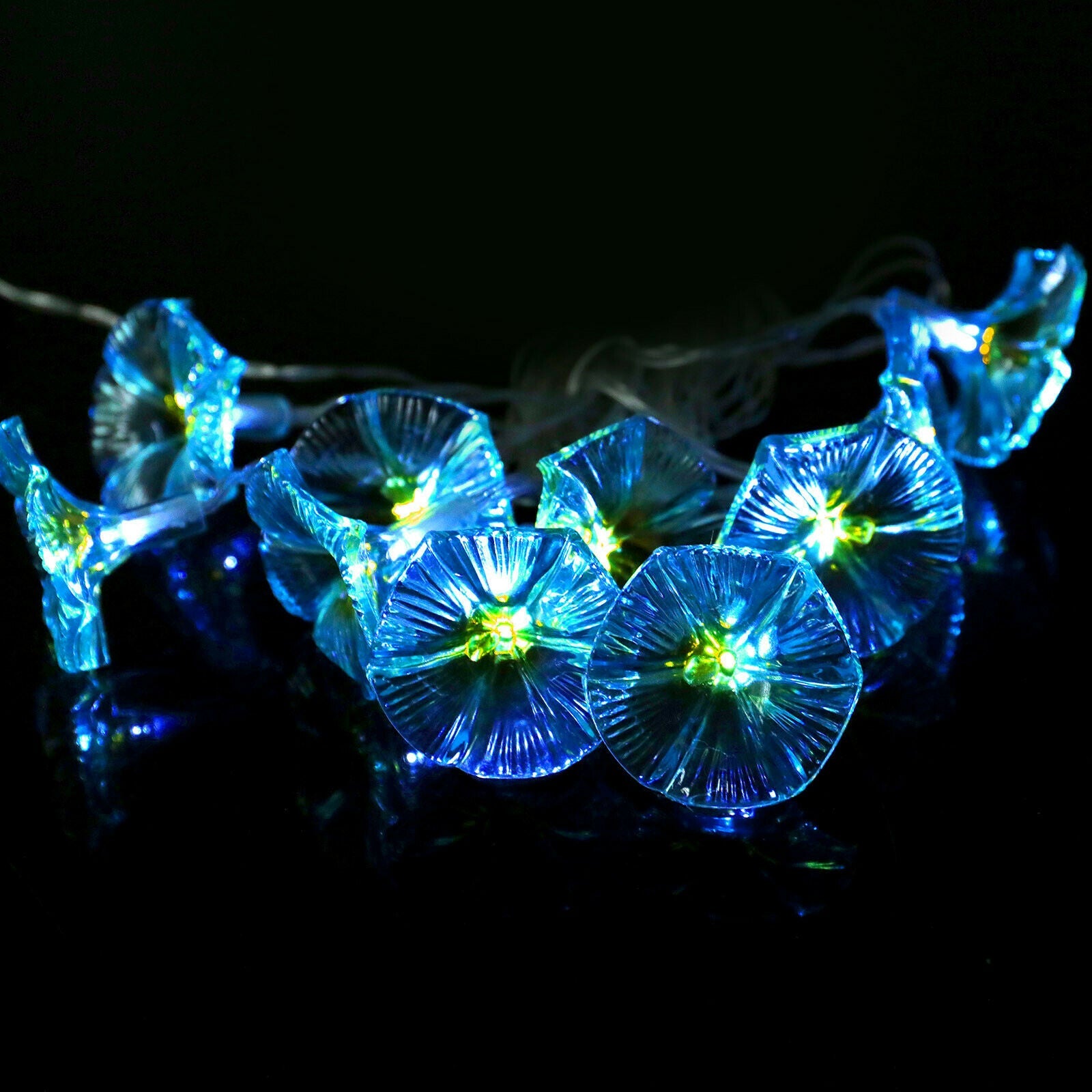 Outdoor LED Solar String Light display