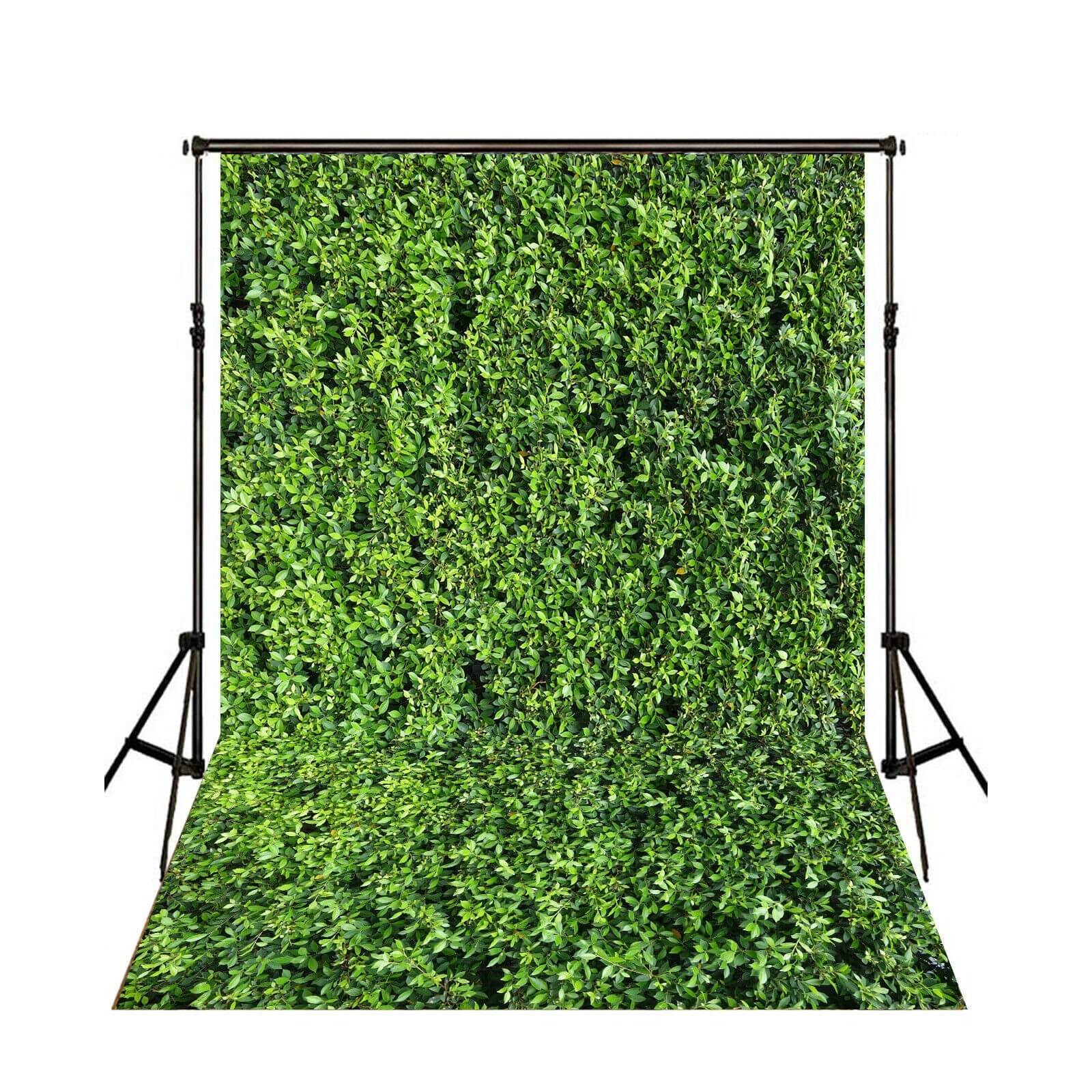 Photography Background lawn