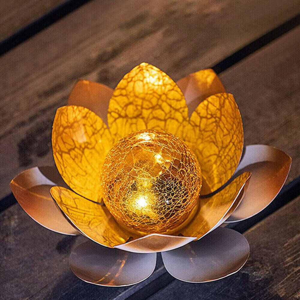 Solar Lotus Buried Lights display