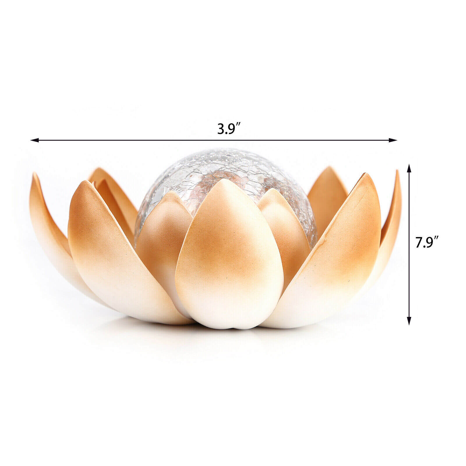 Solar Lotus Buried Lights size