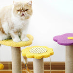 Cat Activity Tree usage